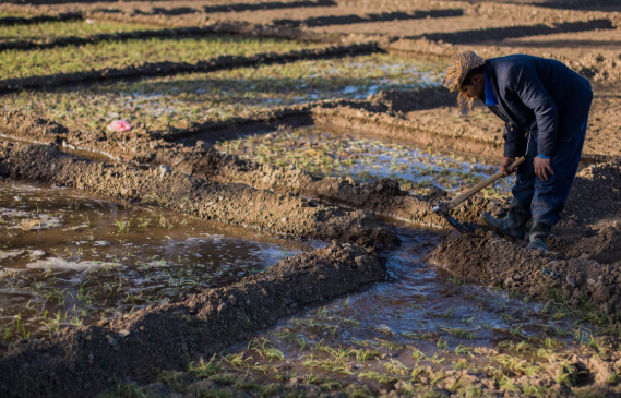 ONU alertó que el doble bloqueo en el estrecho de Ormuz puede generar inflación mundial similar a la de pandemia