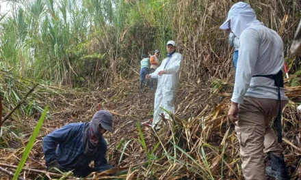 Unidad de Búsqueda recuperó en Caldas los cuerpos de dos soldados que llevaban 31 años desaparecidos